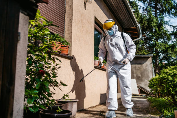 Pest Control Cost in Blanco, TX