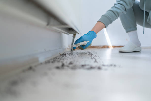 Best Commercial Pest Control Services  in Blanco, TX
